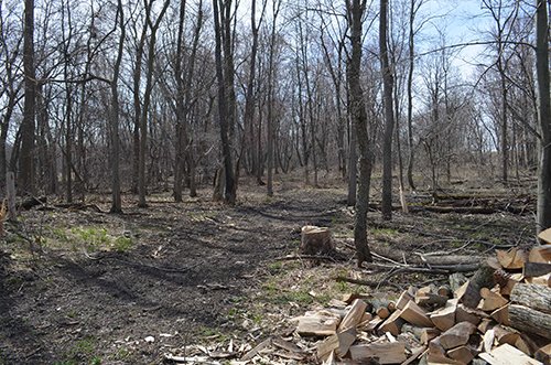 Property photo 152 - REAL ESTATE & PERSONAL PROPERTY AUCTION, 140 Acres offered in 8 Tracts or Combinations in Steuben County